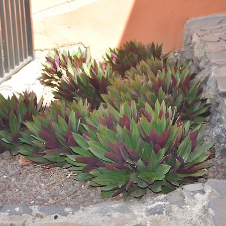 El Mirador San Sebastian De La Gomera